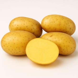 Zemiakovo-medov&yacute; balzam s propolisom &ndash; na such&uacute; pokožku