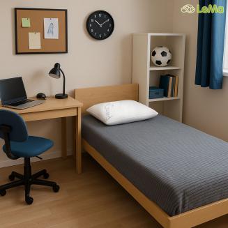 Vank&uacute;&scaron; VENEZIA &ndash; ortopedick&yacute; vank&uacute;&scaron; 40&times;70 cm SILVER poťah