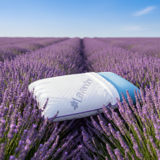 Levanduľov&yacute; sn&iacute;mateľn&yacute; a prateľn&yacute; poťah ortopedick&eacute;ho vank&uacute;&scaron;a Lema Levanduľa Hard